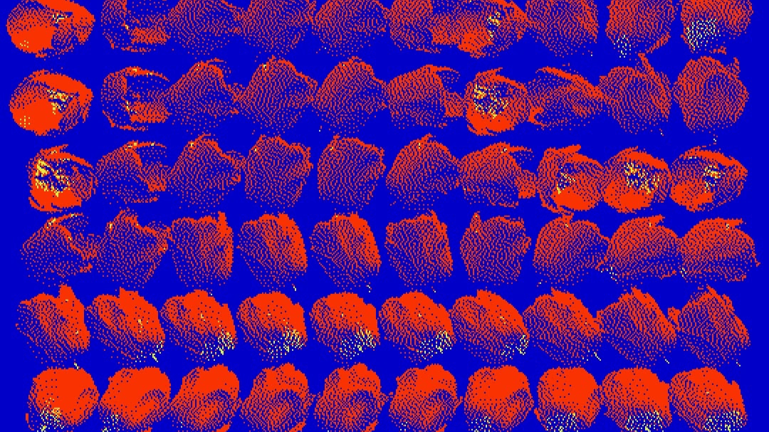 Flow-er Fields © Andreion De Castro