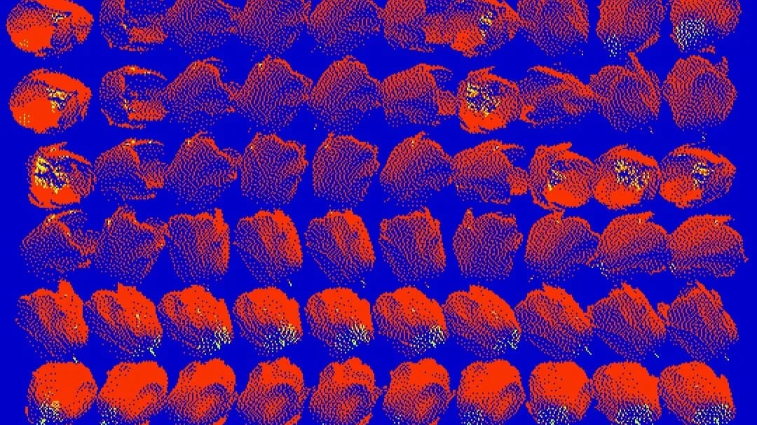 Flow-er Fields © Andreion De Castro